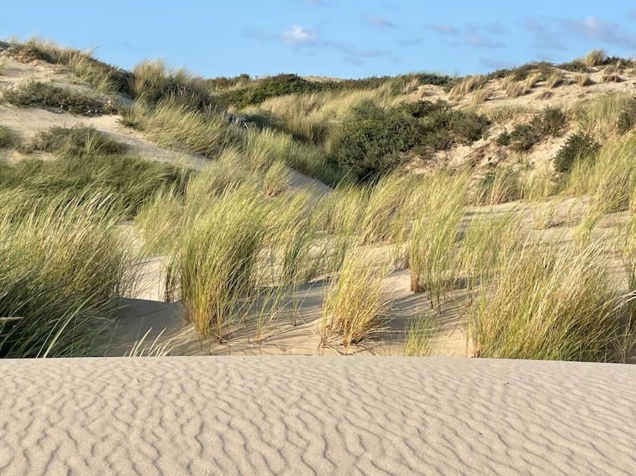 Charmante Maison Individuelle Proche Du Touquet キュク エクステリア 写真