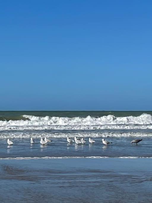 Charmante Maison Individuelle Proche Du Touquet キュク エクステリア 写真